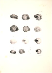 n364_w1150