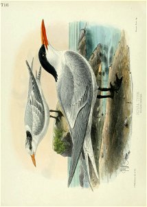n581_w1150