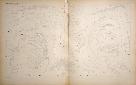 n168_w1150