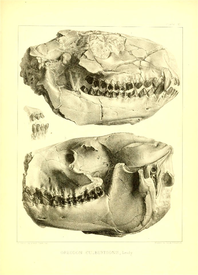 n136_w1150