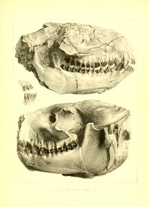 n136_w1150