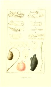 n138_w1150