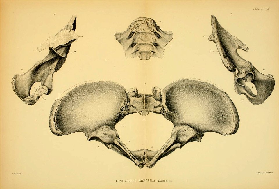 n434_w1150