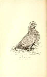 n143_w1150