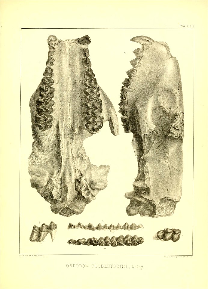 n138_w1150