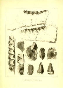 n166_w1150