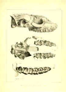 n164_w1150