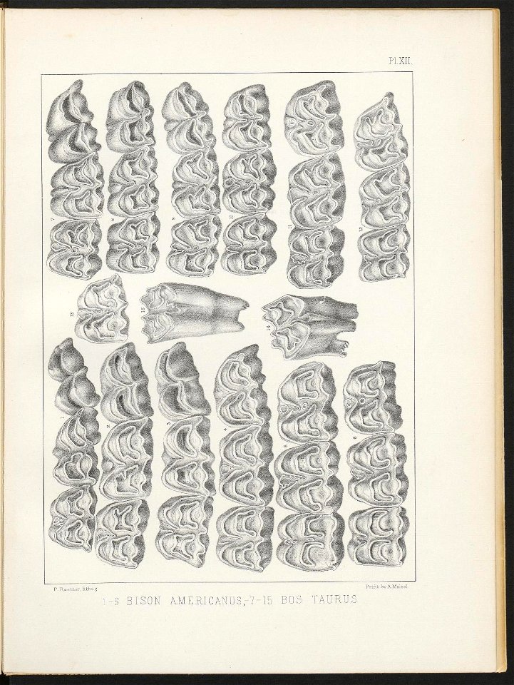 n317_w1150