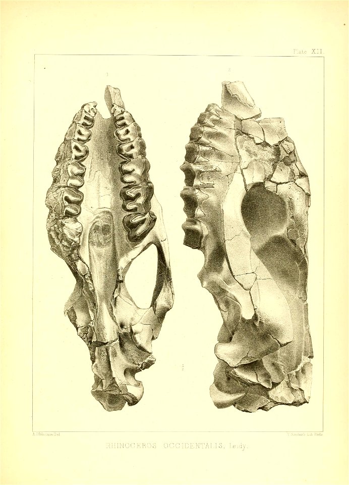 n158_w1150