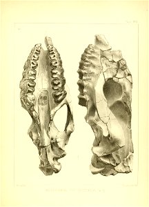 n158_w1150