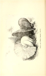 n123_w1150