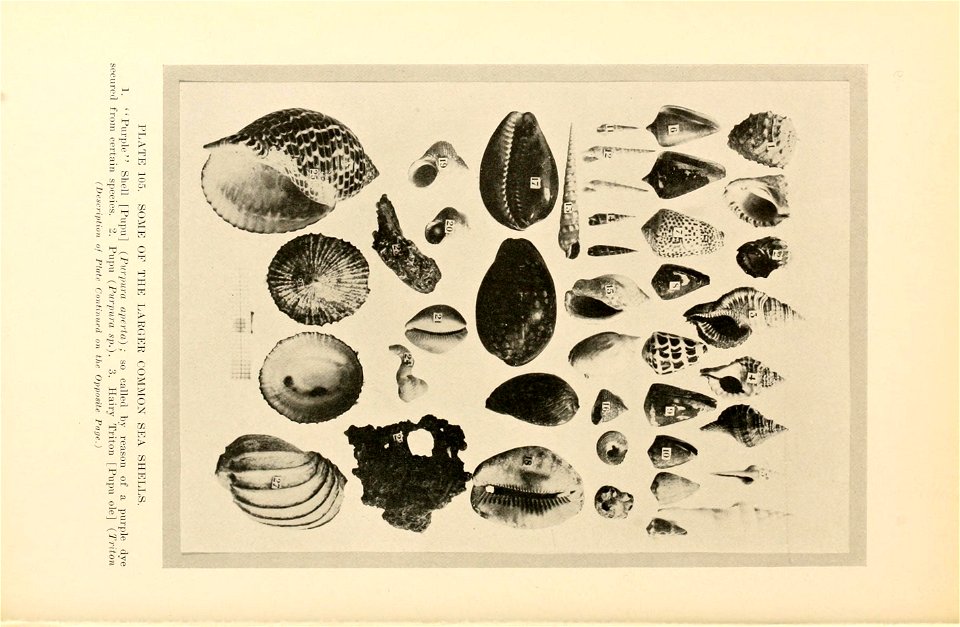 n469_w1150