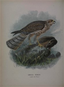 n45_w1150