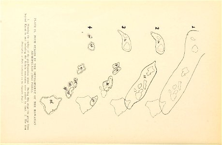 n299_w1150