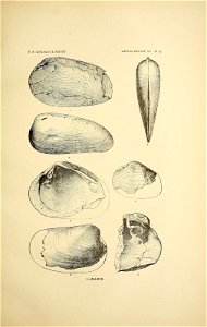 n138_w1150