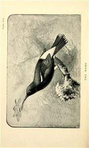 n229_w1150