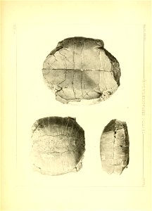 n172_w1150