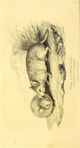 n191_w1150