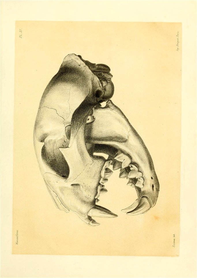 n180_w1150