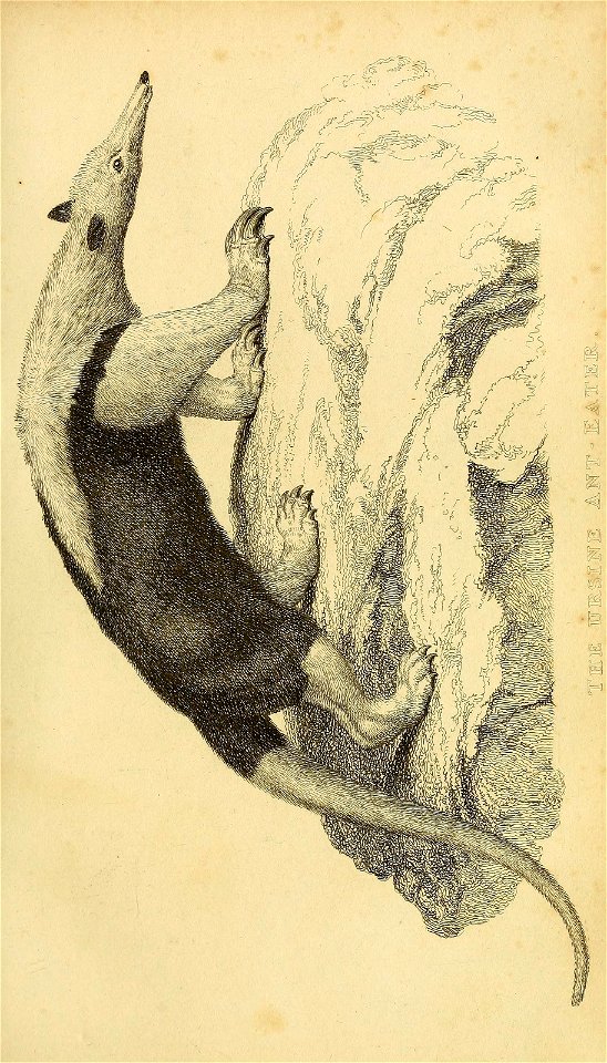 n412_w1150