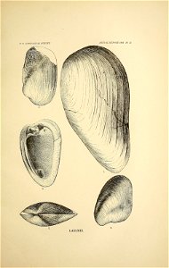 n142_w1150