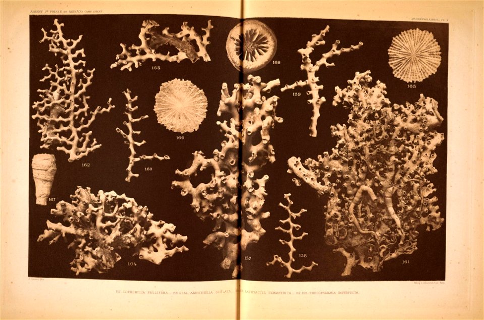 n176_w1150