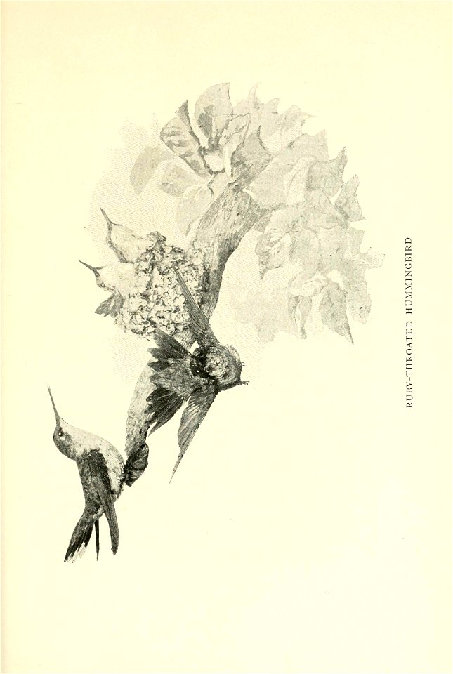 n192_w1150