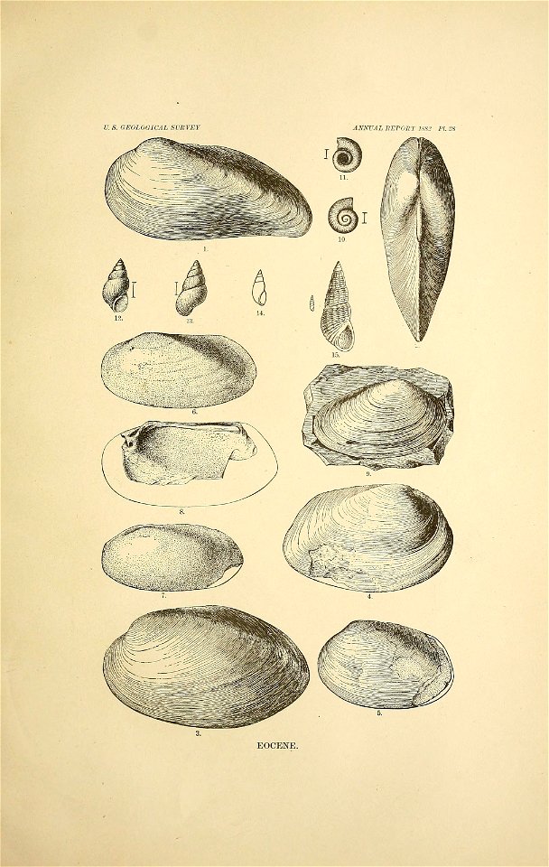n194_w1150