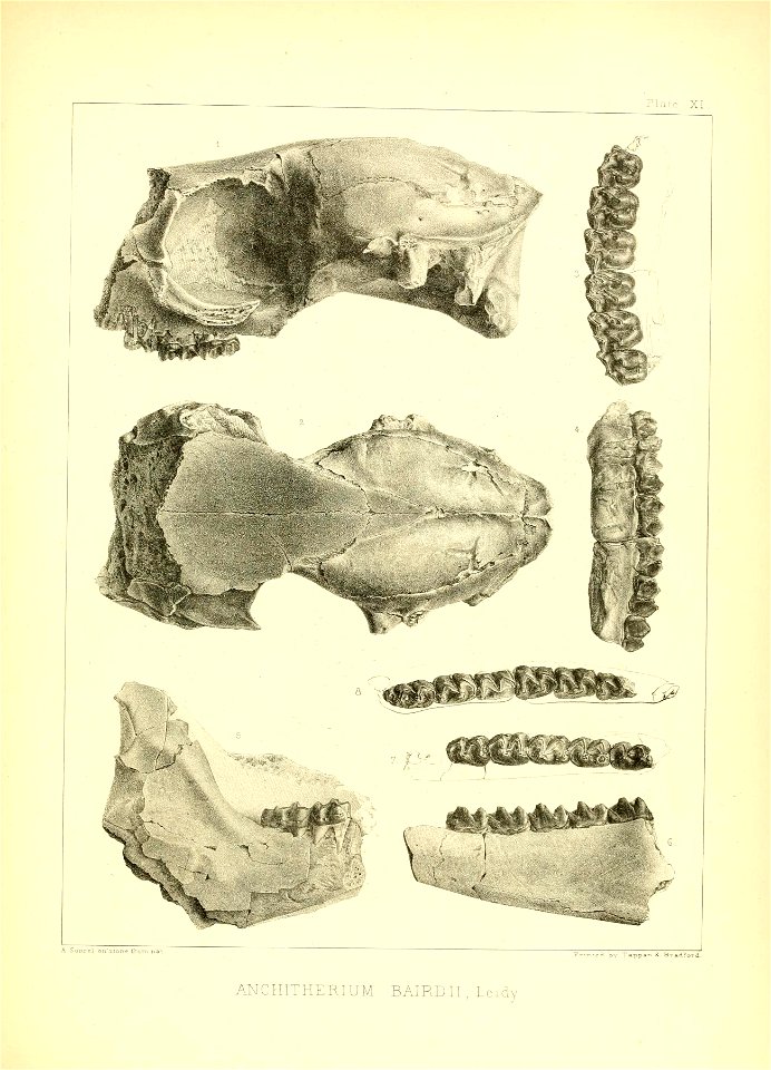 n156_w1150