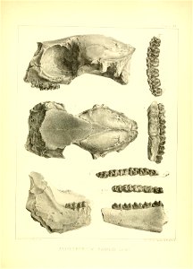 n156_w1150