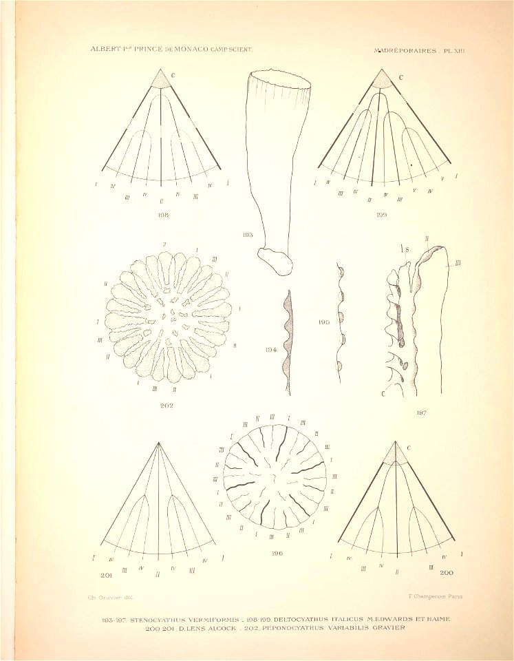 n190_w1150