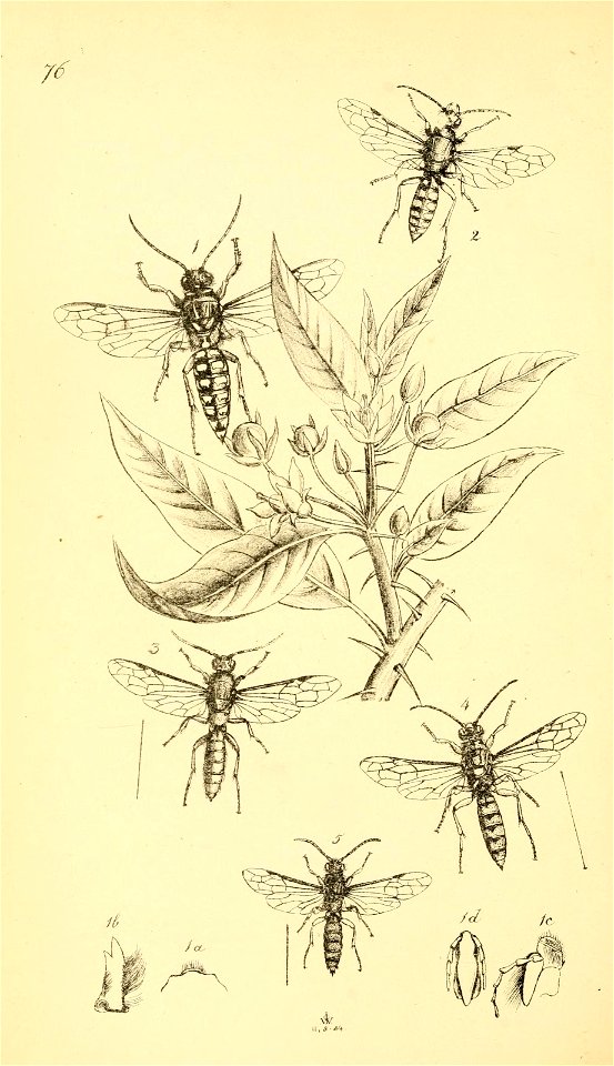 n469_w1150