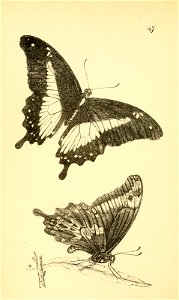 n289_w1150
