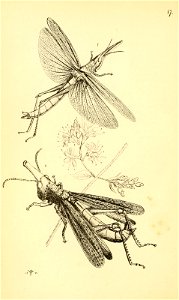 n105_w1150