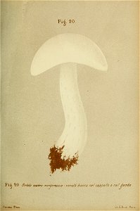 n80_w1150