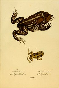 n128_w1150
