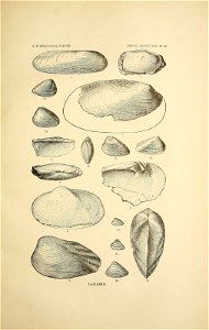 n158_w1150