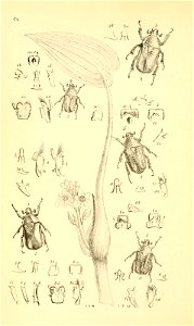 n203_w1150