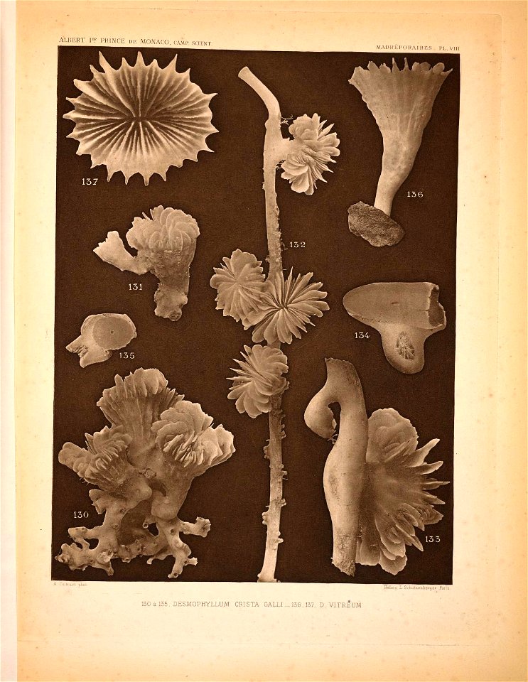 n166_w1150