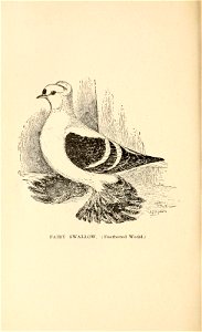 n245_w1150