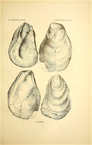 n126_w1150