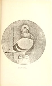 n148_w1150