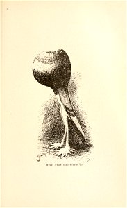 n104_w1150