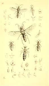 n503_w1150