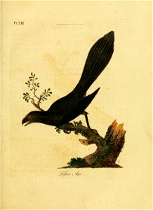 n402_w1150