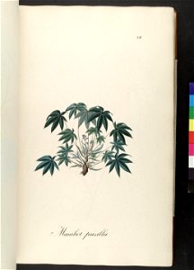 n59_w1150
