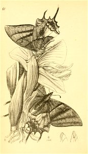 n363_w1150