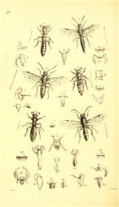 n453_w1150