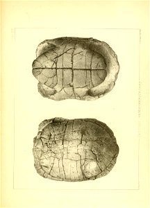 n174_w1150