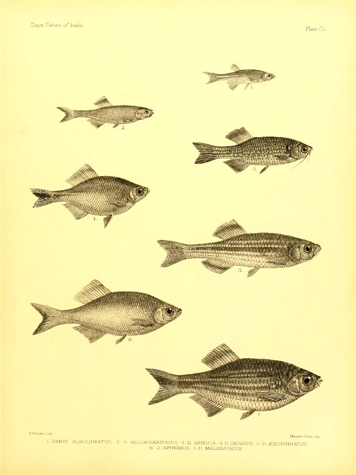 n316_w1150